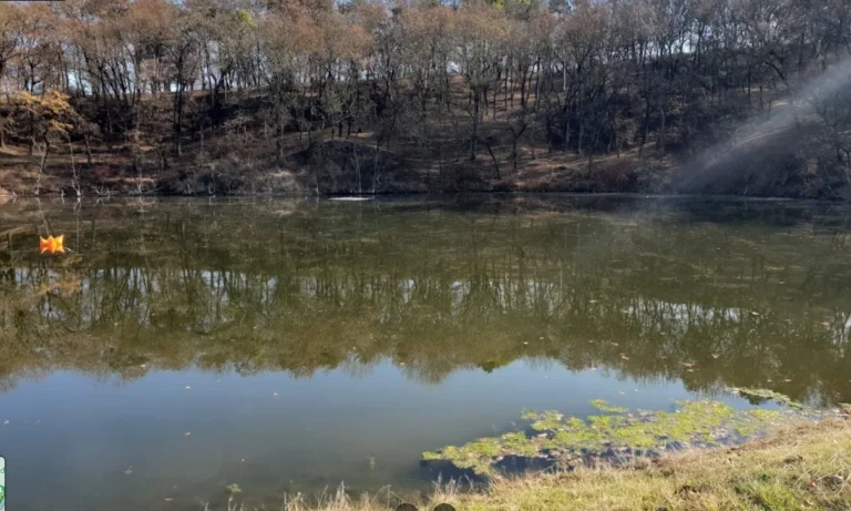 Lacul Tarzan: O Destinatie Idilica pentru Relaxare