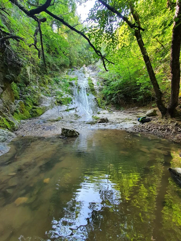 Cheile Borzești: Un Colț de Paradis Natural